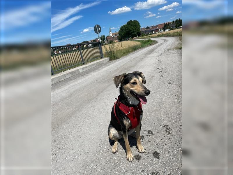 Polly  in der Nähe von Karlsruhe zu besuchen