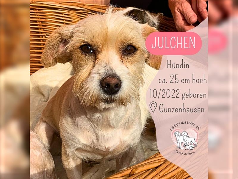 Mini Dame JULCHEN (in 91710 Gunzenhausen) sucht ihr Zuhause!