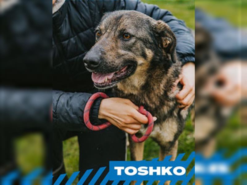 Toshko