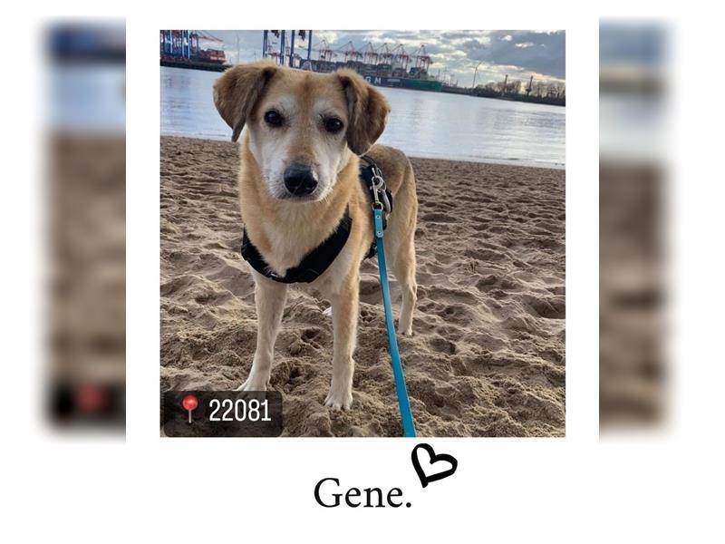 Gene