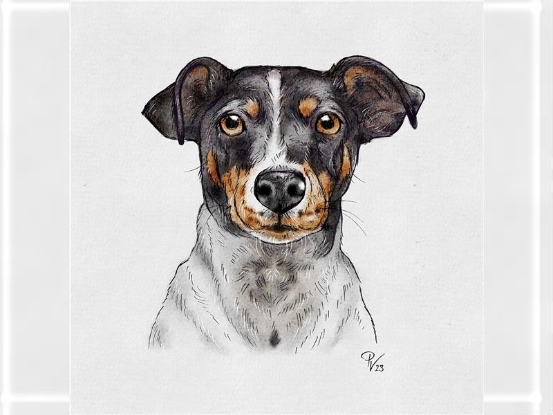 Besonderheit: Hundeportraits; Tierportraits ab Foto im Miniformat