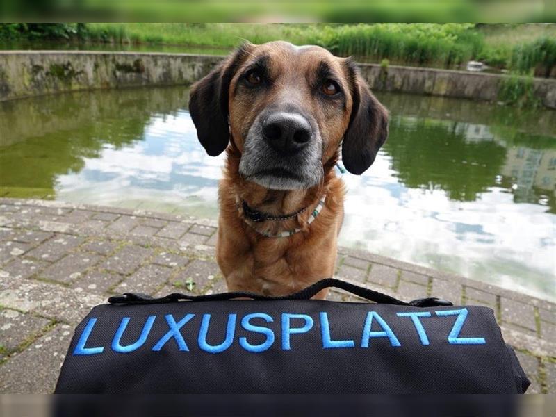 Bestickte Hundedecke „LUXUSPLATZ“