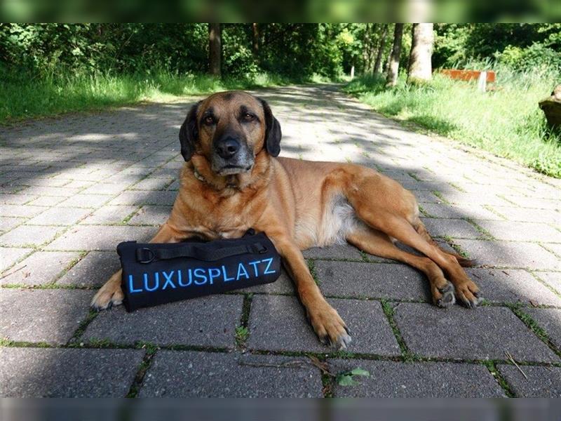 Bestickte Hundedecke „LUXUSPLATZ“