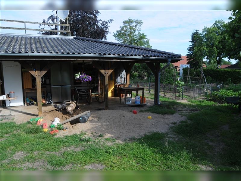 Ein Fest der Farben - Bolonka Zwetna Welpen - lustige Gesellen im Landhaus mit Garten am See