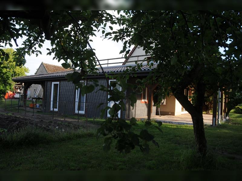 Ein Fest der Farben - Bolonka Zwetna Welpen - lustige Gesellen im Landhaus mit Garten am See