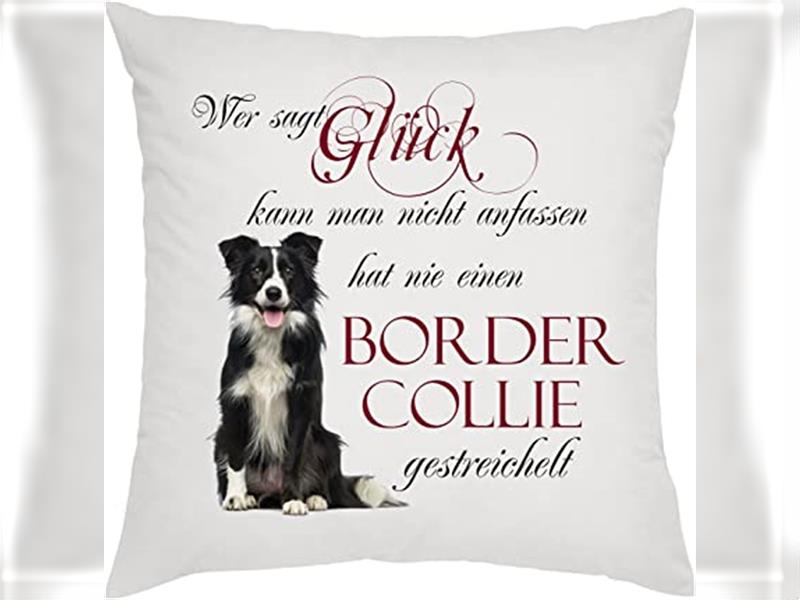 Verkaufe Reinrassige Border Collie Welpen