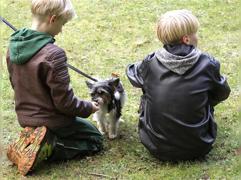 Der kleine Muck sucht seine Fürimmerfamilie PLZ 91522