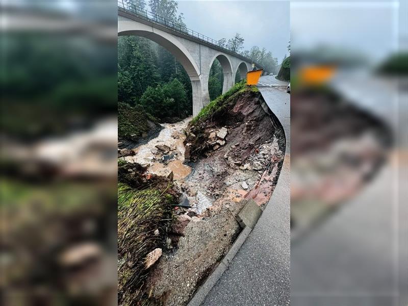 Langhaarcollie Welpen in Kürze abzugeben