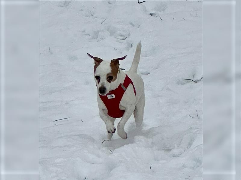 Dansky Prinzessin sucht Märchenschloss