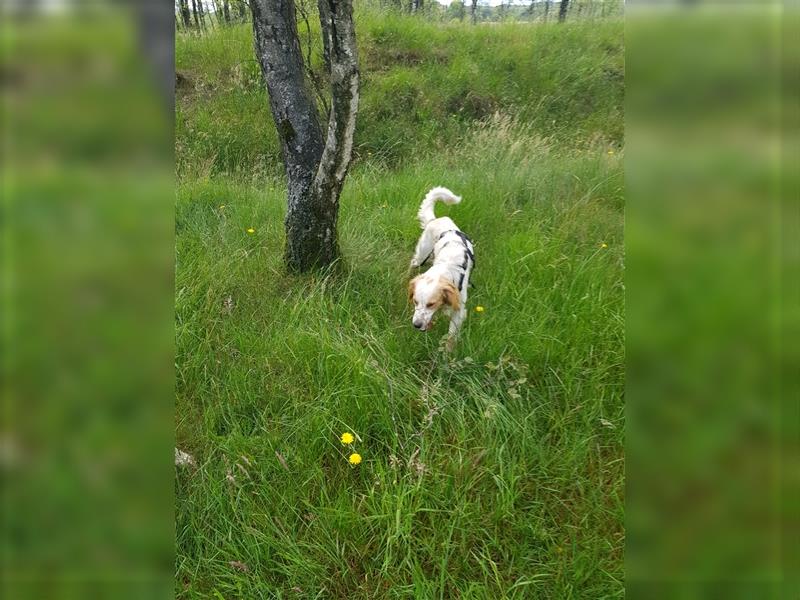 Willy – Zeit für eine wirklich eigene Familie -