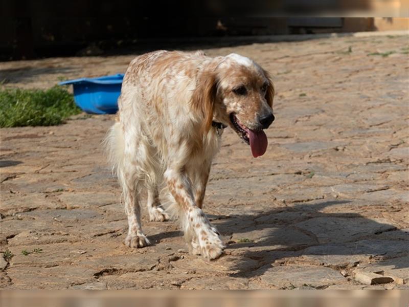 Nanou ist aufgeschlossen und lieb