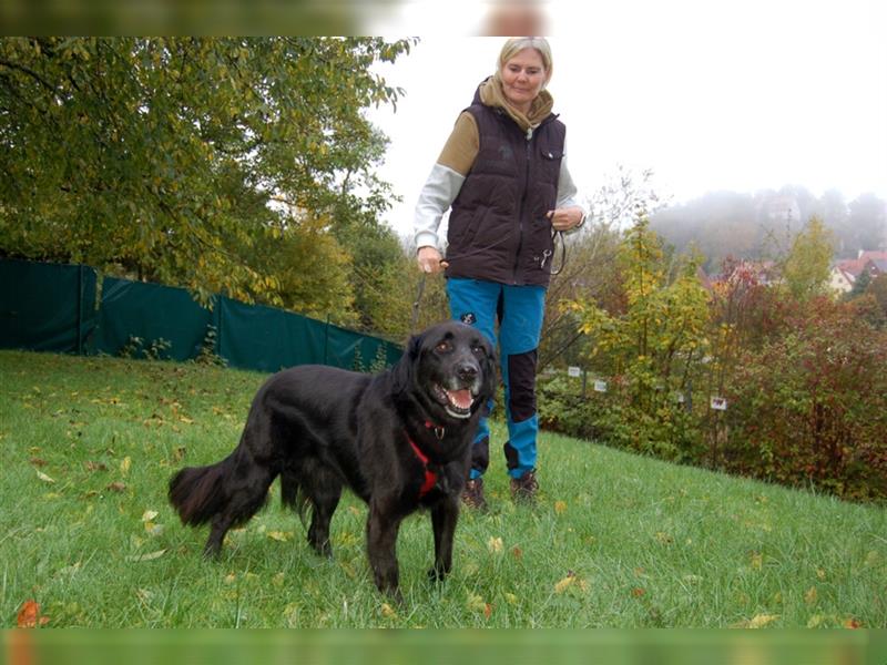 Timossi - eine Seele von Hund - Tierhilfe Franken e.V.