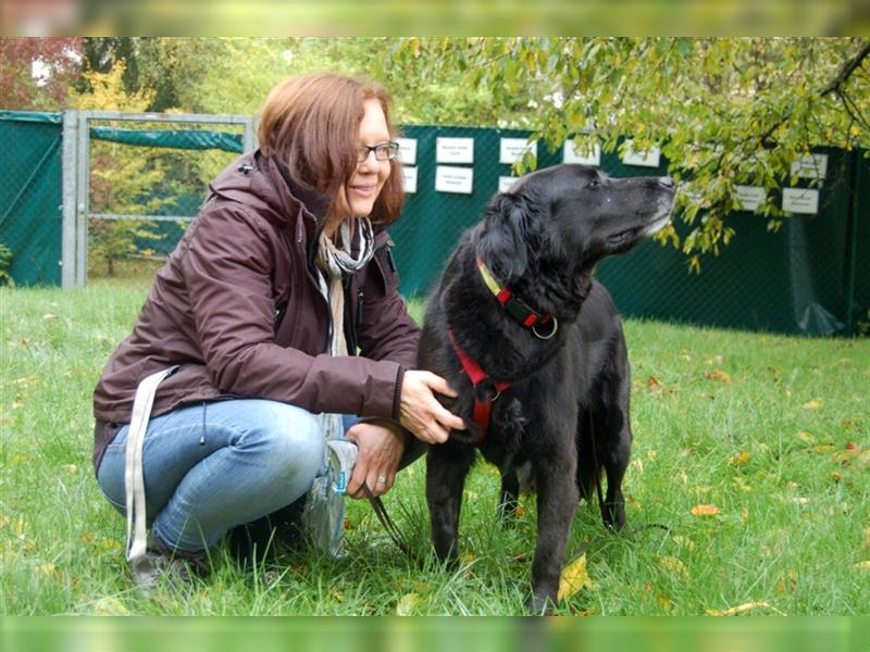 Timossi - eine Seele von Hund - Tierhilfe Franken e.V.