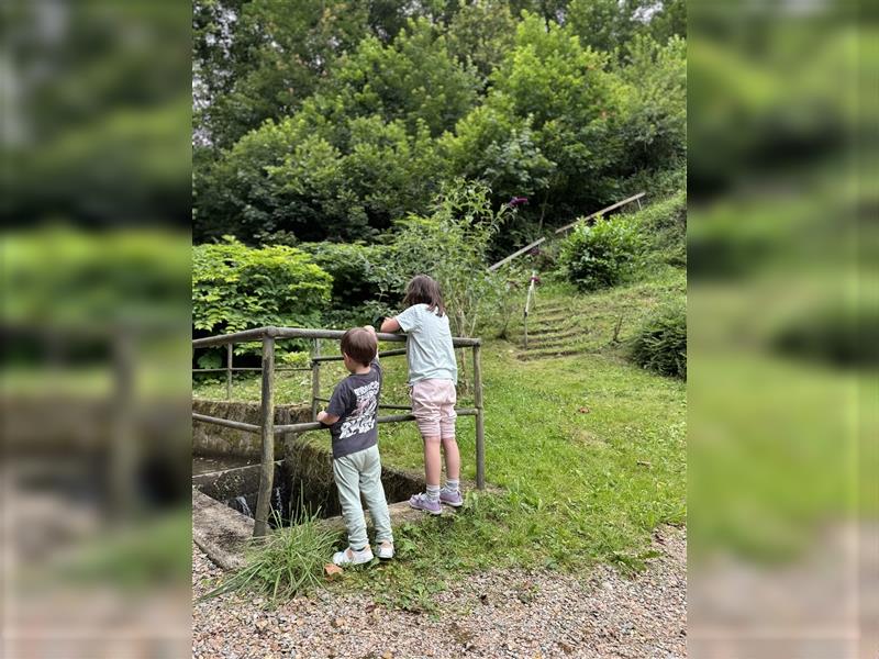 Kleine Familie sucht Französische Bulldogge ‍‍