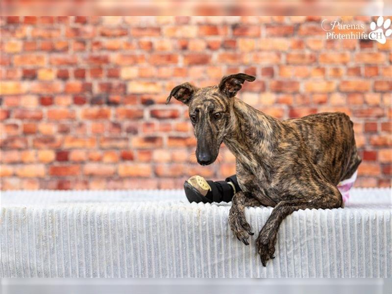 Katrina hat riesige Lebensfreude, großes Vertrauen in den Menschen (Handicap)