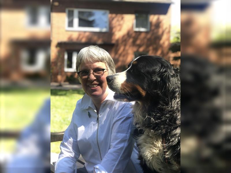 Hundegefahrene Frau (66) sucht Goldendoodle oder Australian Cobberdog Welpen