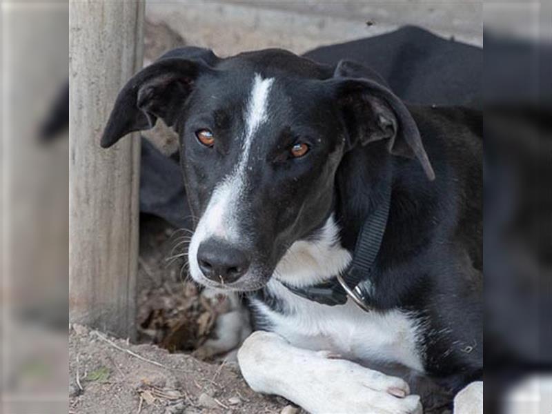 BONNIE-besondere, exotisch wirkende Schönheit, zart, sanft sucht happy End mit eigener Familie