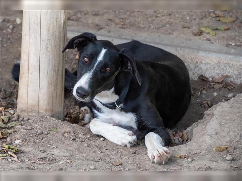 BONNIE-besondere, exotisch wirkende Schönheit, zart, sanft sucht happy End mit eigener Familie