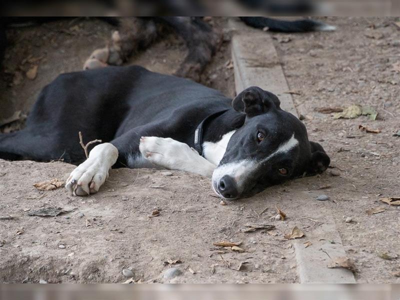 BONNIE-besondere, exotisch wirkende Schönheit, zart, sanft sucht happy End mit eigener Familie