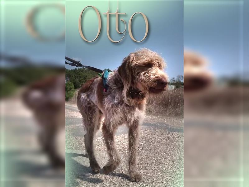 Otto – ein temperamentvoller Herzensbrecher