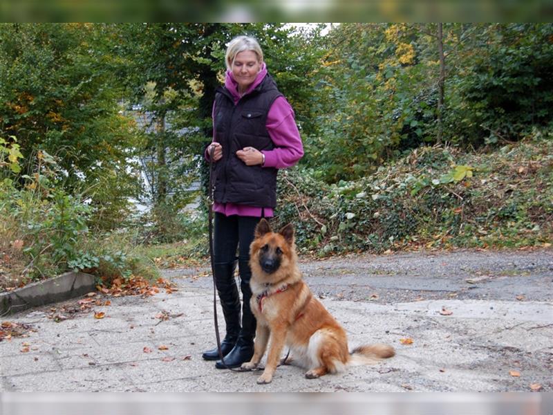 Red Buddy - sucht eine aktive Familie - Tierhilfe Franken e.V.