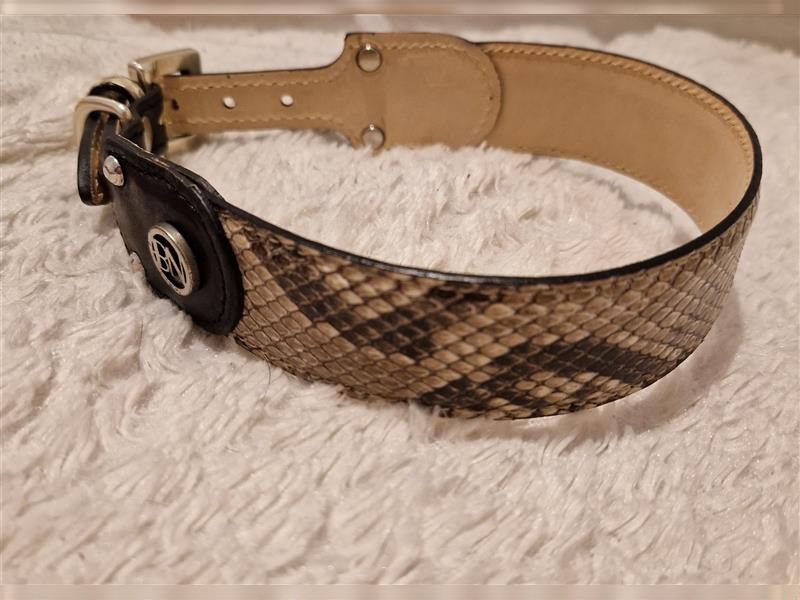 Hundehalsbänder aus Schlangenleder