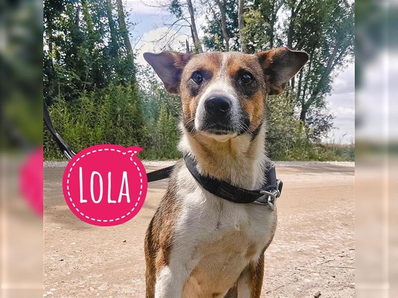 Lola eine wundervolle Hündin