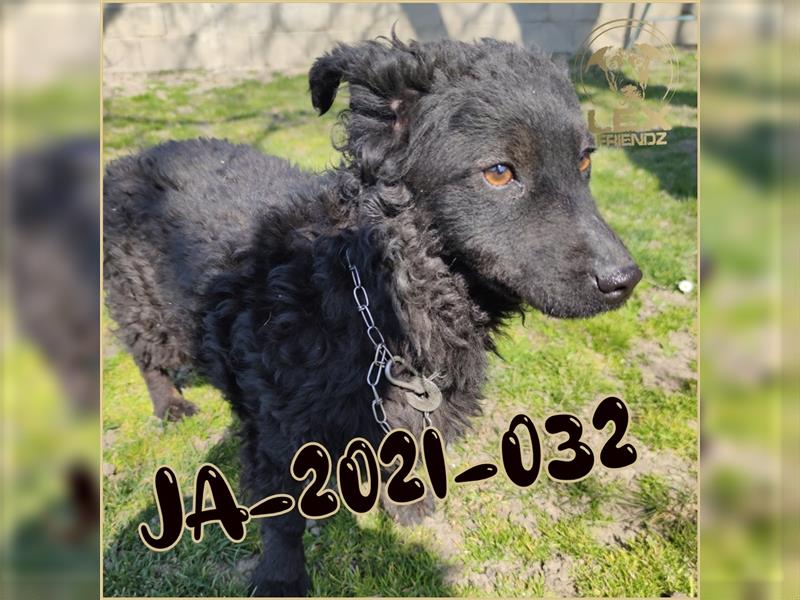 JA-2021-032 sehnt sich nach Familie
