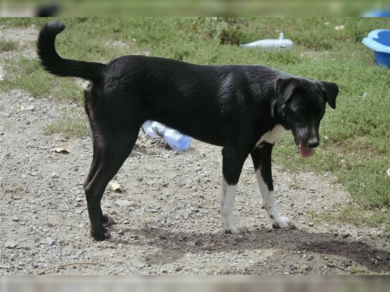 FENJA sucht eine liebe Familie