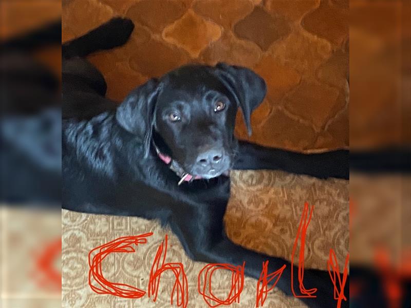 Charly (reserviert)