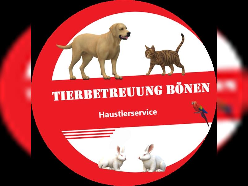 Liebevolle kleine Hundepension in 59199 Bönen hat ab 09/2024 Urlaubsplätze frei