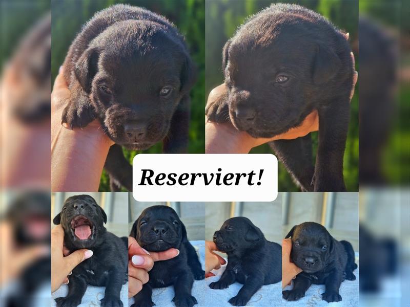 RESERVIERT!