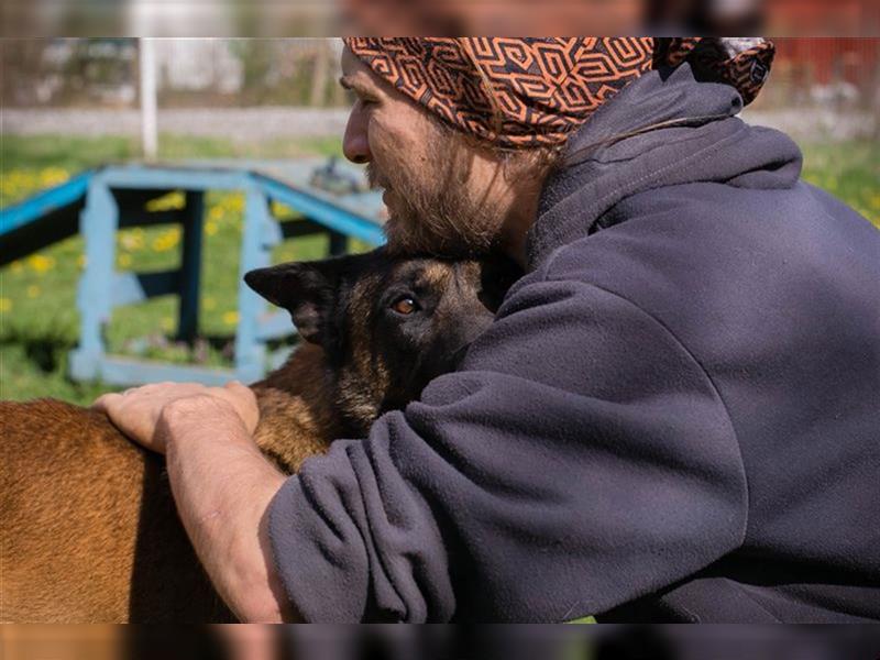 OLLI - der aktive, sportliche Herr sucht Herrchen oder/und Frauchen zum "arbeiten"