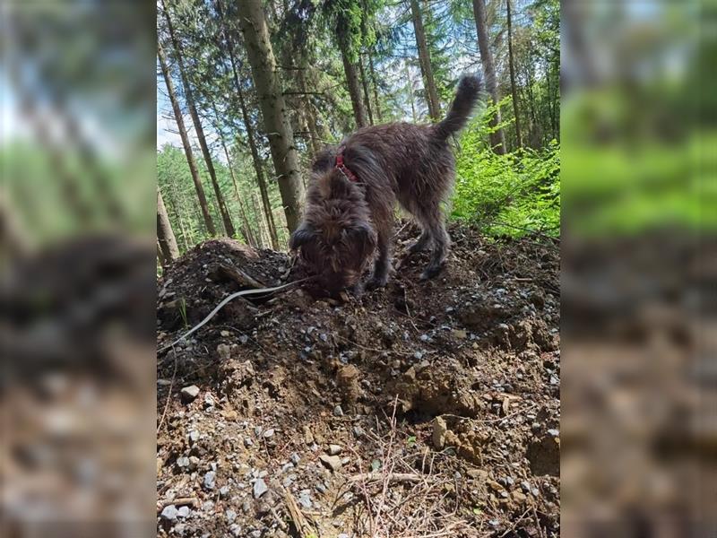 Rodya - auf der Suche nach seinen passenden Menschen