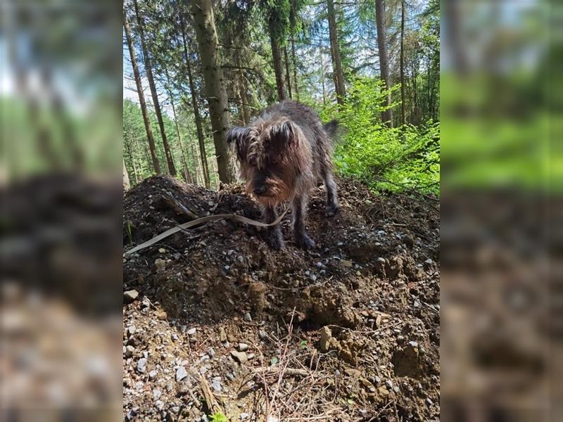 Rodya - auf der Suche nach seinen passenden Menschen