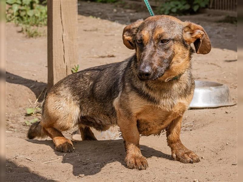 Zserbo, ein kinderlieber Junge sucht eine Familie