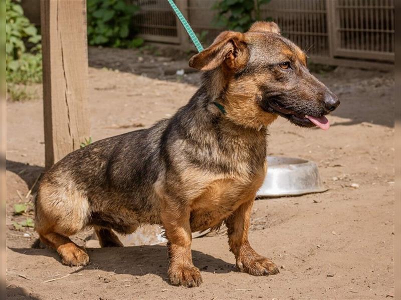 Zserbo, ein kinderlieber Junge sucht eine Familie