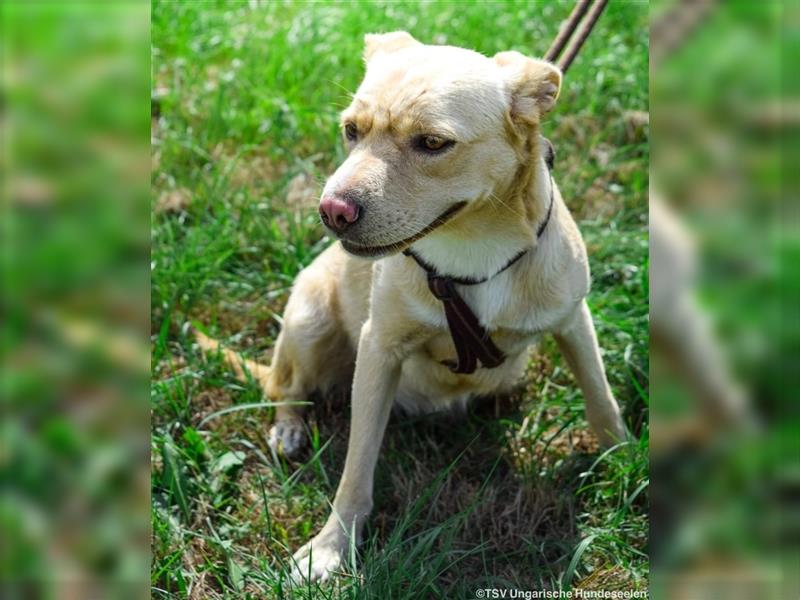 Katie, 09.2023 geboren, 50cm sucht einen Platz bei einer tollen Familie