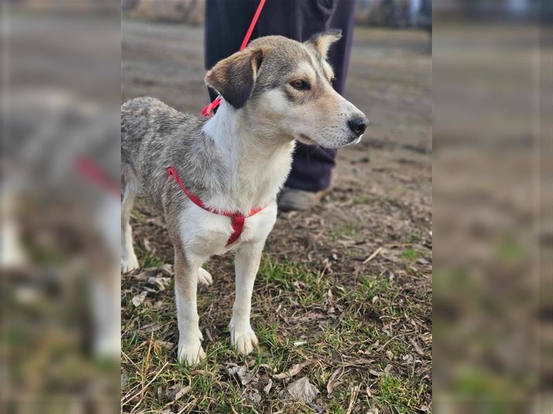 Paige 03.2024 geb., 47 cm môchte gemeinsam mit dir viel kennenlernen