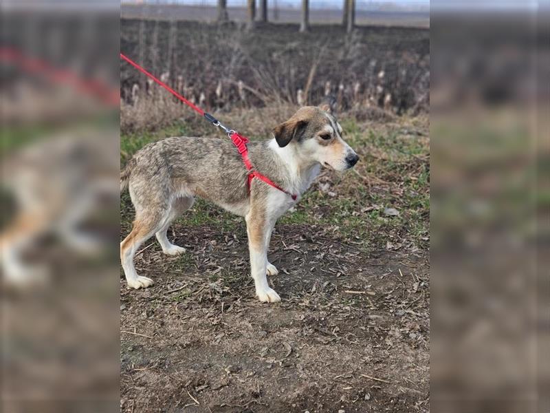 Paige 03.2024 geb., 47 cm môchte gemeinsam mit dir viel kennenlernen