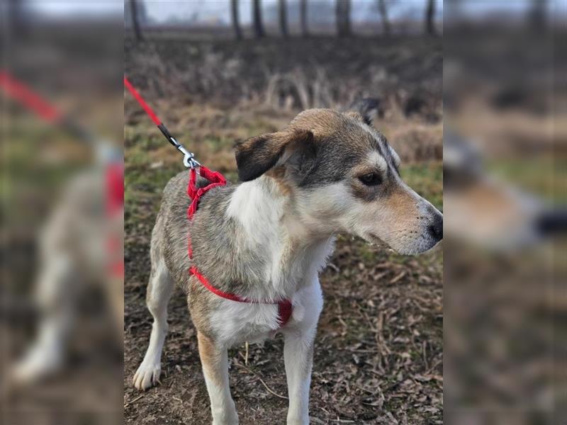 Paige 03.2024 geb., 47 cm môchte gemeinsam mit dir viel kennenlernen