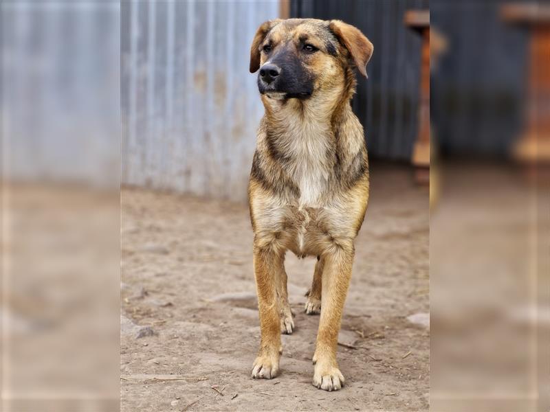 BETTY sucht nette Familie