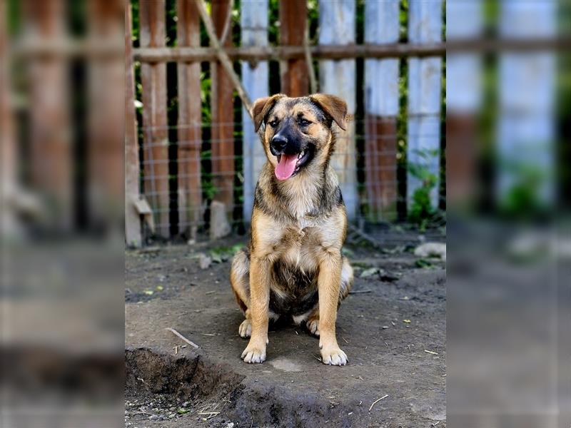 BETTY sucht nette Familie