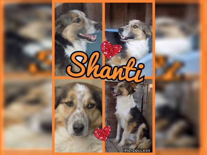 Schöne Shanti sucht Dein Herz!