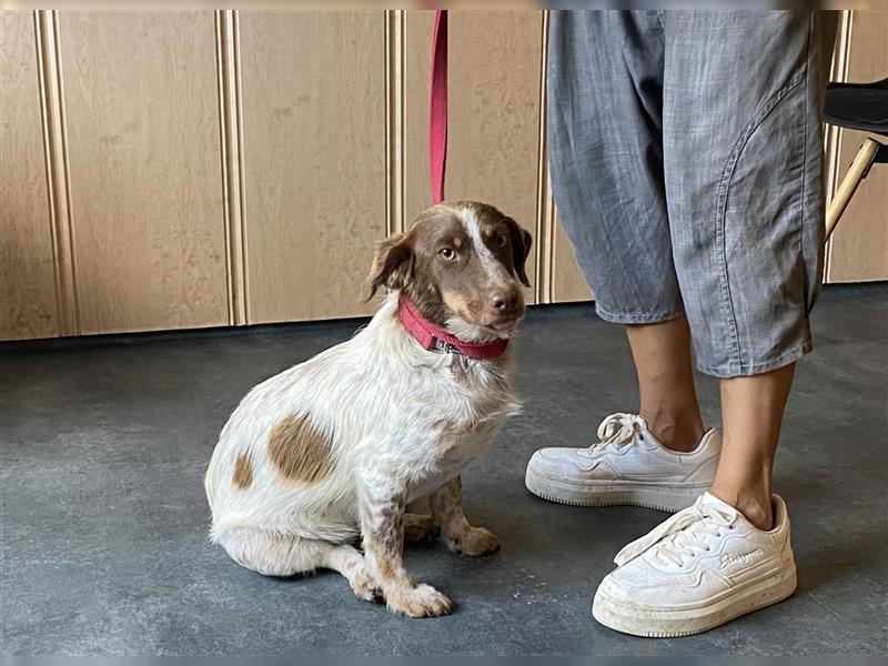 Daisy, hatte Glück im Unglück