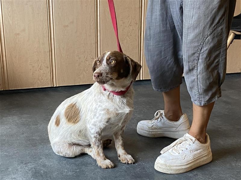 Daisy, hatte Glück im Unglück