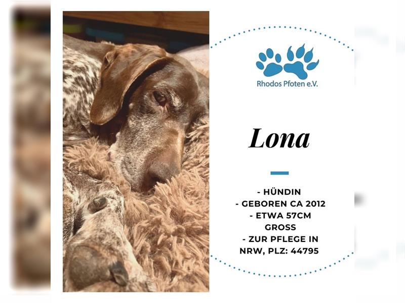 Lona sucht ihr zu Hause! ❤️
