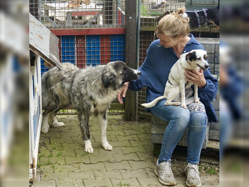 Niebla, sehr menschenbezogen und aufgeschlossen - bereits in Deutschland -