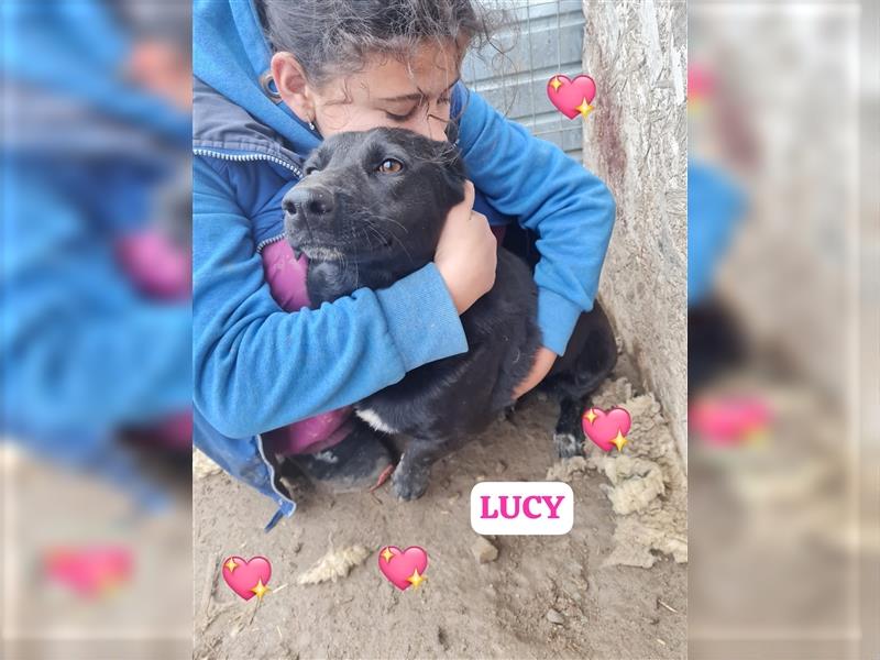 Lucy möchte Rumänien ganz schnell verlassen