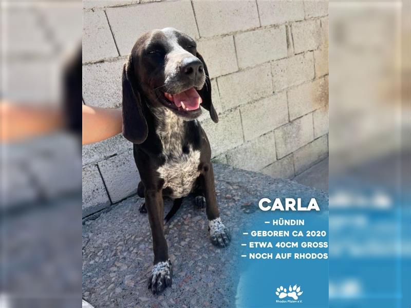 Carla sucht ihr zu Hause ! ❤️